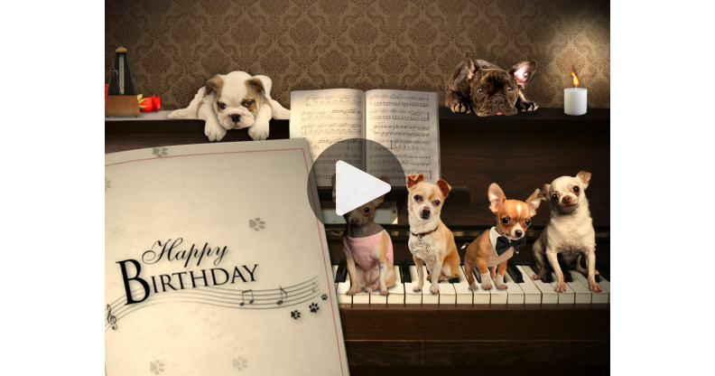 My card - A Musical Birthday