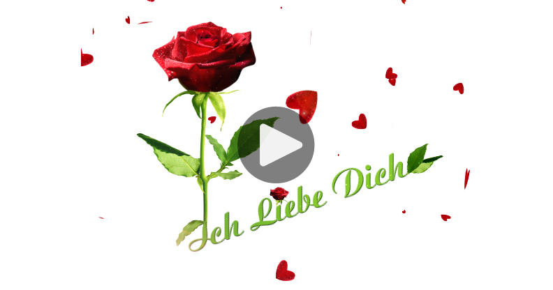 Meine Karte Rote Rose, Ich liebe Dich