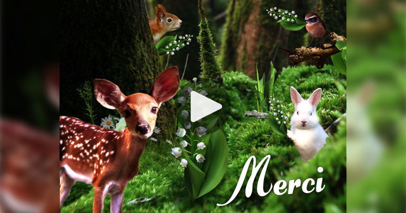 Ma Carte Merci Avec Les Animaux De La Foret Ma Carte Merci Avec Les Animaux De La Foret