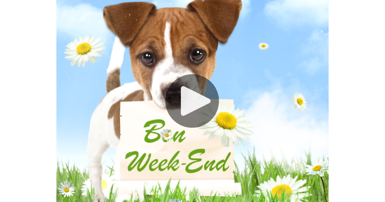 Ma Carte Bon Week End Ma Carte Bon Week End