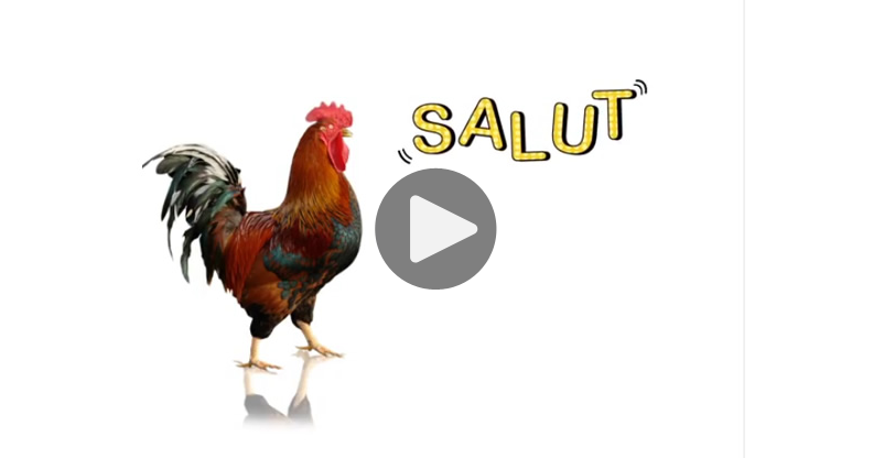 Ma Carte Salut Du Coq