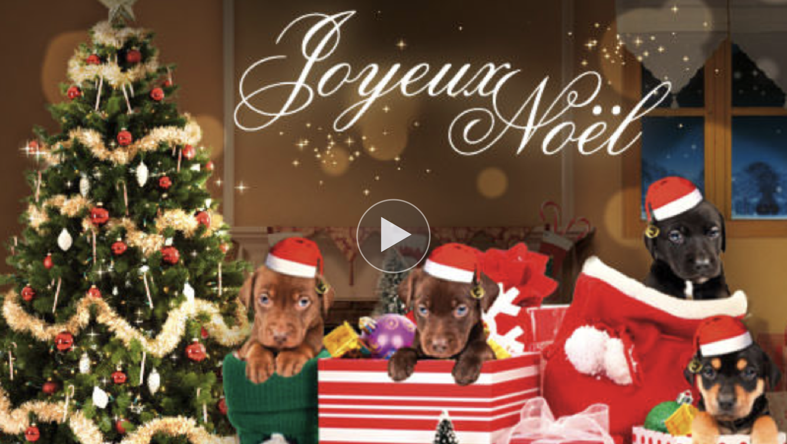 Ma carte - Les animaux fêtent Noël