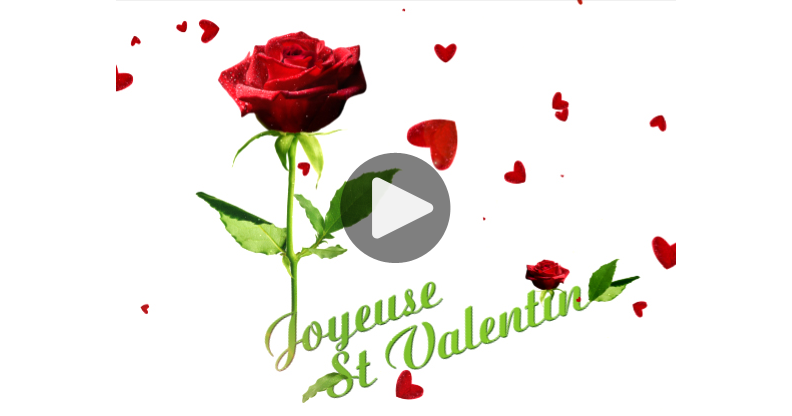 Ma Carte Une Rose Pour La St Valentin Ma Carte Une Rose Pour La St Valentin