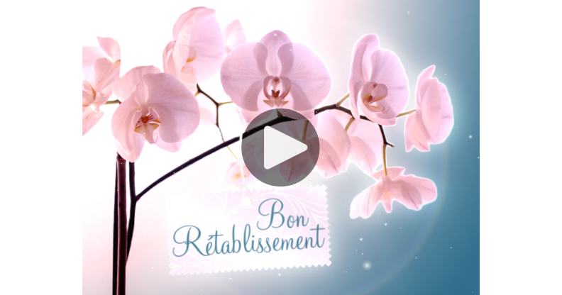 Ma Carte Une Orchidee Pour Un Bon Retablissement Ma Carte Une Orchidee Pour Un Bon Retablissement