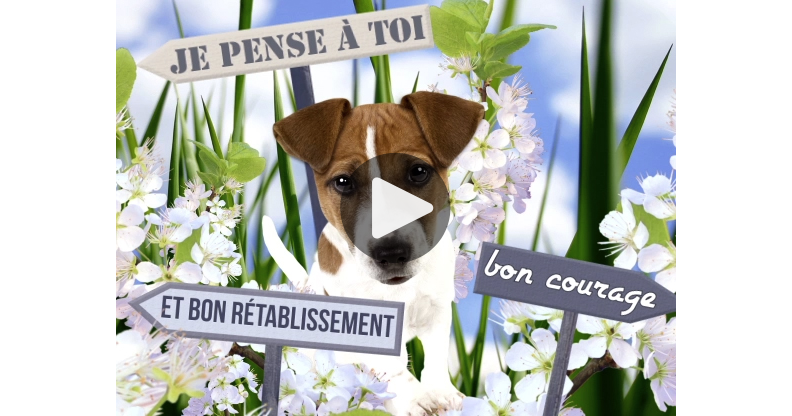 Ma Carte Je Pense A Toi Bon Courage