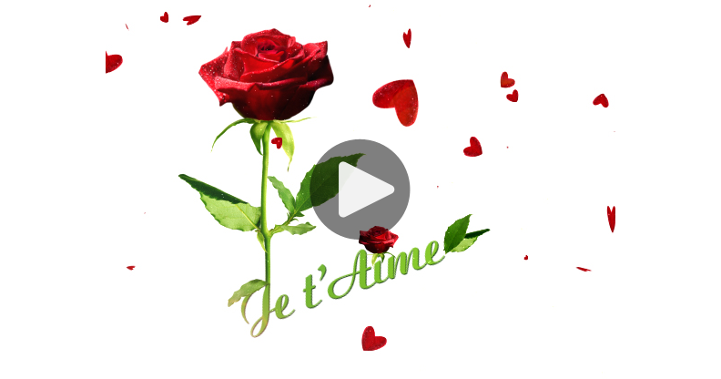 Je T Aime Rosie Ma carte - Une rose pour dire je t'aime