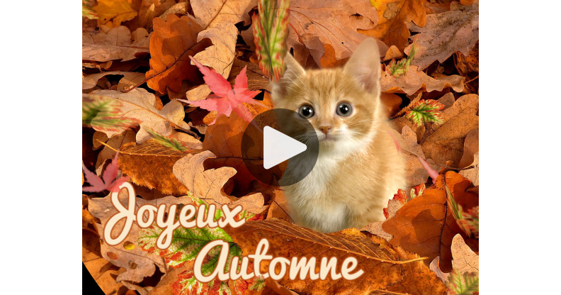 Ma Carte Joyeux Automne Ma Carte Joyeux Automne