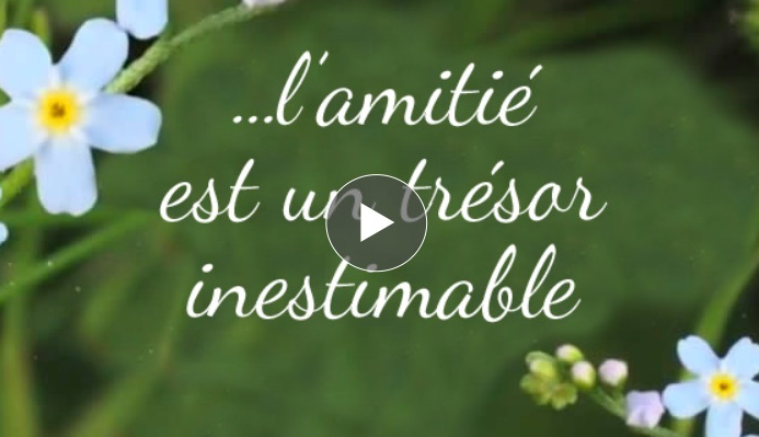 Ma Carte L Amitie Est Un Tresor Inestimable Ma Carte L Amitie Est Un Tresor Inestimable