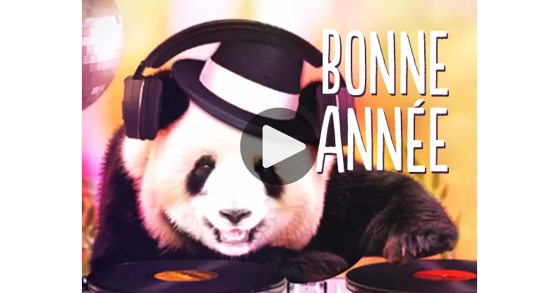 Ma Carte Meilleurs Voeux Avec Panda Dj