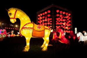 Année du Singe de Feu