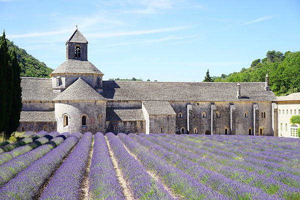 Abbaye de Sénanque, dans le Vaucluse