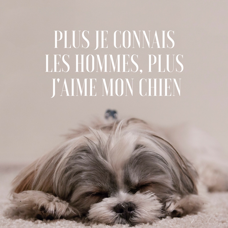 Aimer un chien