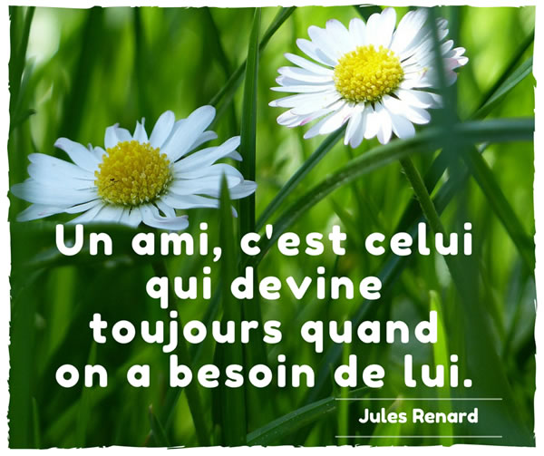 Un ami, c'est celui qui devine toujours quand on a besoin de lui. Jules Renard