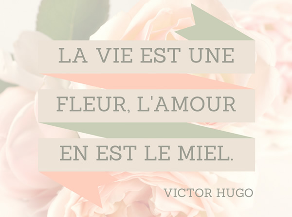 La vie est une fleur, l'amour en est le miel