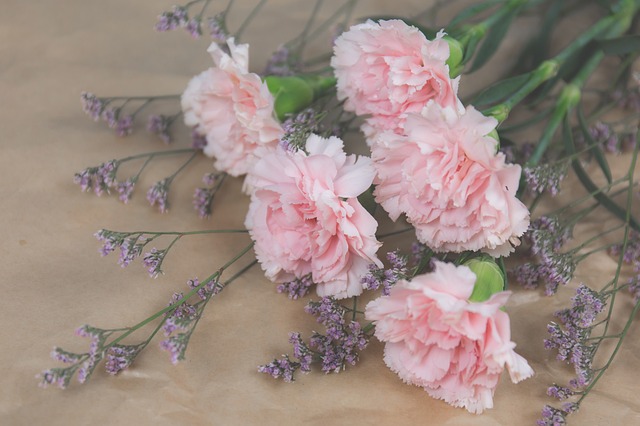 Fleur Damour Choisissez La Fleur Parfaite Pour Dire Je Taime