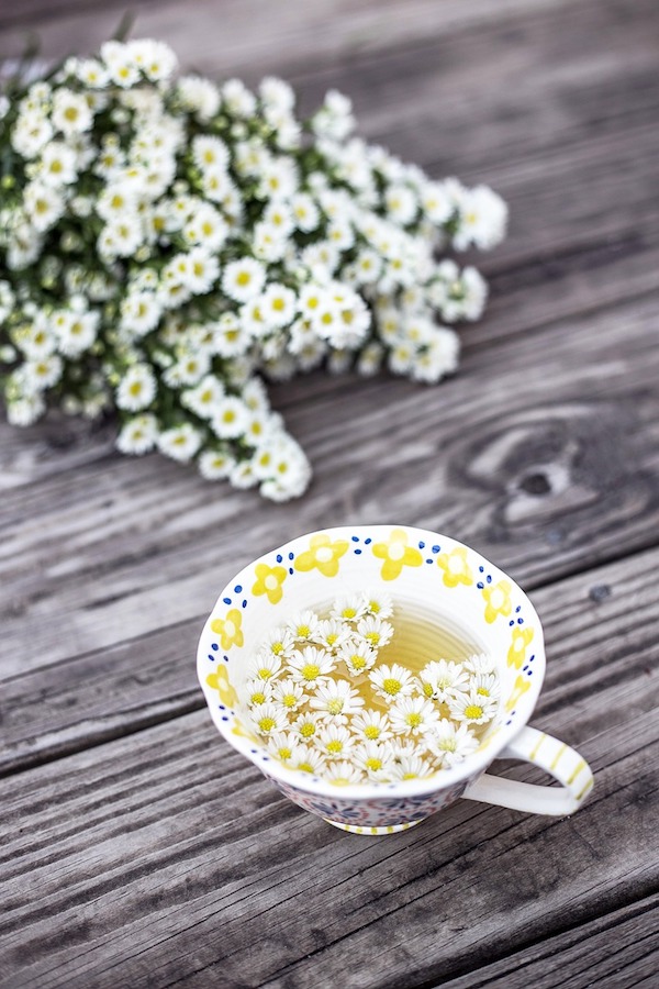 Tisane de camomille