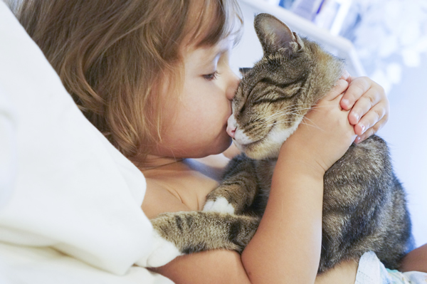 câlin avec un chat