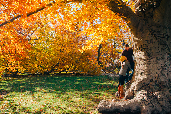 Balade en forêt en automne