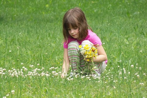 Fillette cueillant des fleurs sauvages dans une prairie