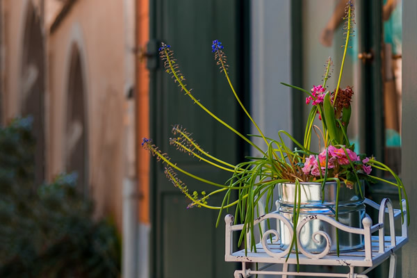 Des fleurs sur un balcon