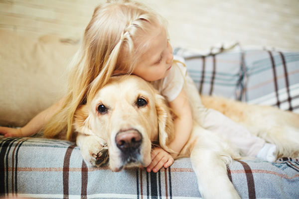 Une fillette et son chien