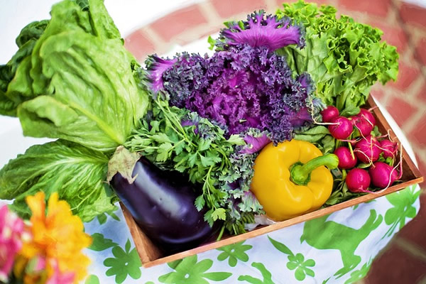 Les légumes bons pour la santé