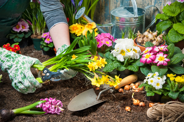 Info jardinage du mois d'avril 2024 Mars_jardin