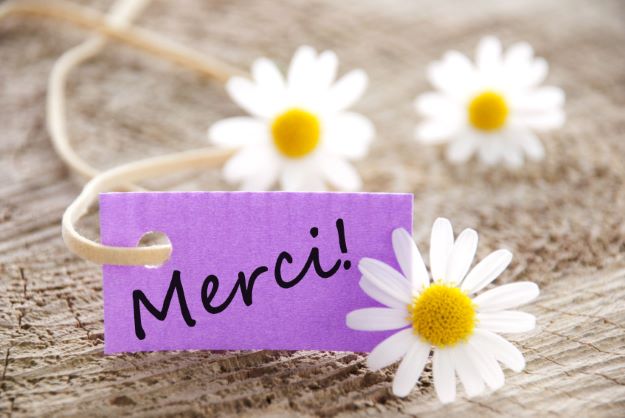 Résultat de recherche d'images pour "merci"