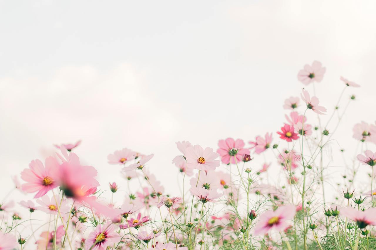 aaaLes nouveaux parfums du printemps 2023
