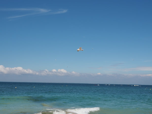 Plage au bord du phare de la Baleine