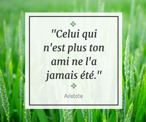 Celui qui n'est plus ton ami ne l'a jamais été. Aristote