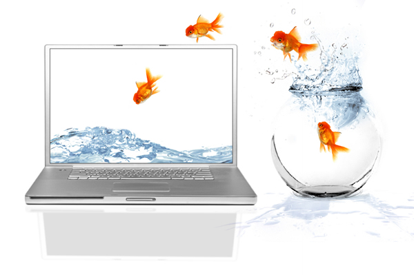 poisson d'avril sur ordinateur
