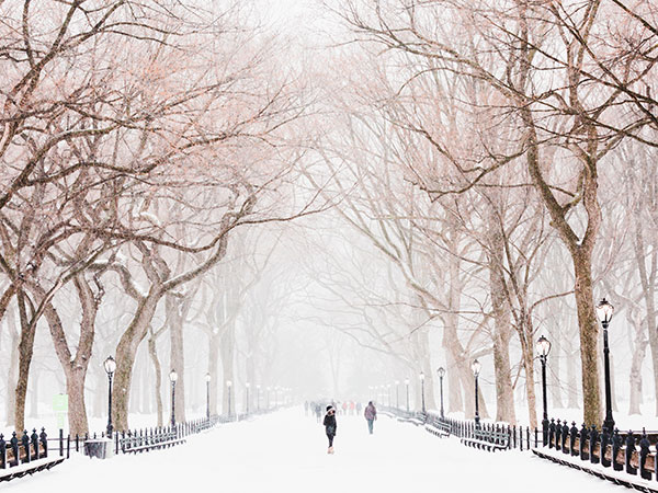 Promenade hivernale