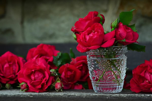 Langage des fleurs : quelle fleur pour exprimer quelle émotion ?