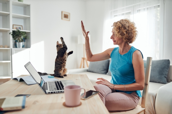 Une femme qui tape dans la patte de son chat