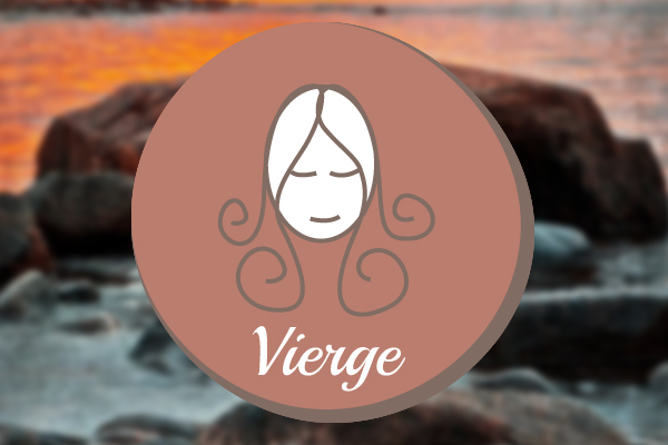 Profil Du Signe Astrologique Vierge