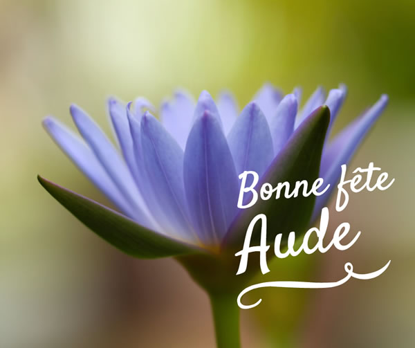 bonne fête Aude