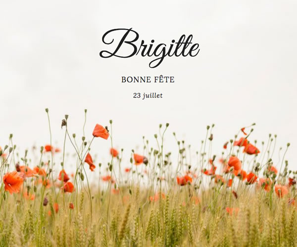 bonne fête Brigitte