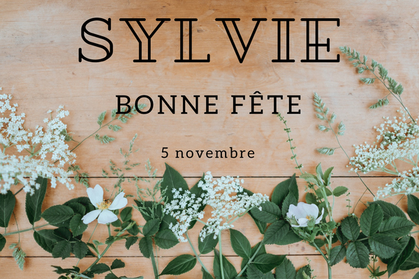 Le Prenom Sylvie