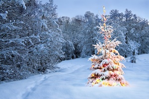 geschmückter Tannenbaum im Schnee